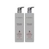 LANZA Healing Colorcare - Silver Brightening Duo - 1000ml